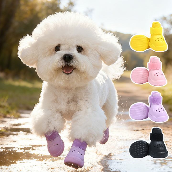 Pet Hole Shoes