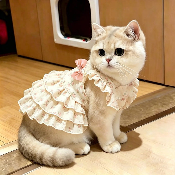 Cat-shaped bow dress