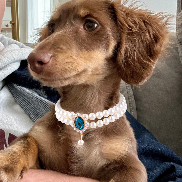 Adjustable Double Layer Pet Pearl Necklace