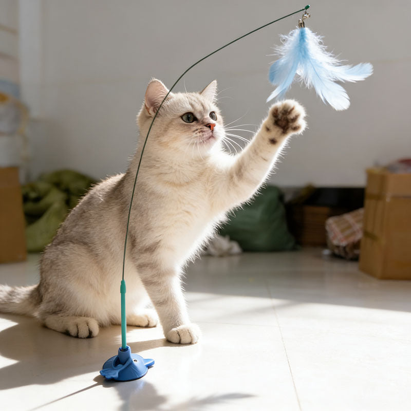 Cat Catching Feather Toy