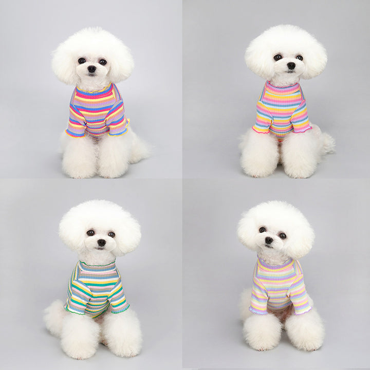 Rainbow Stripe Dog &amp; Cat Clothes