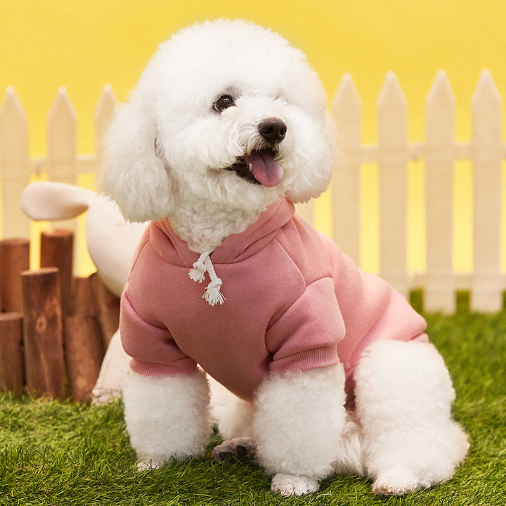 Fleece-lined dog hoodie