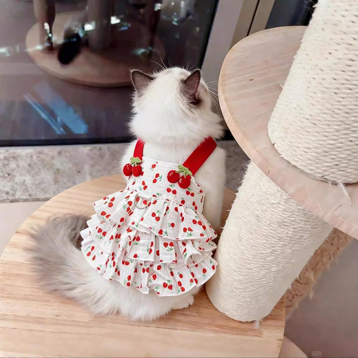 Pet Cherry Print Dress