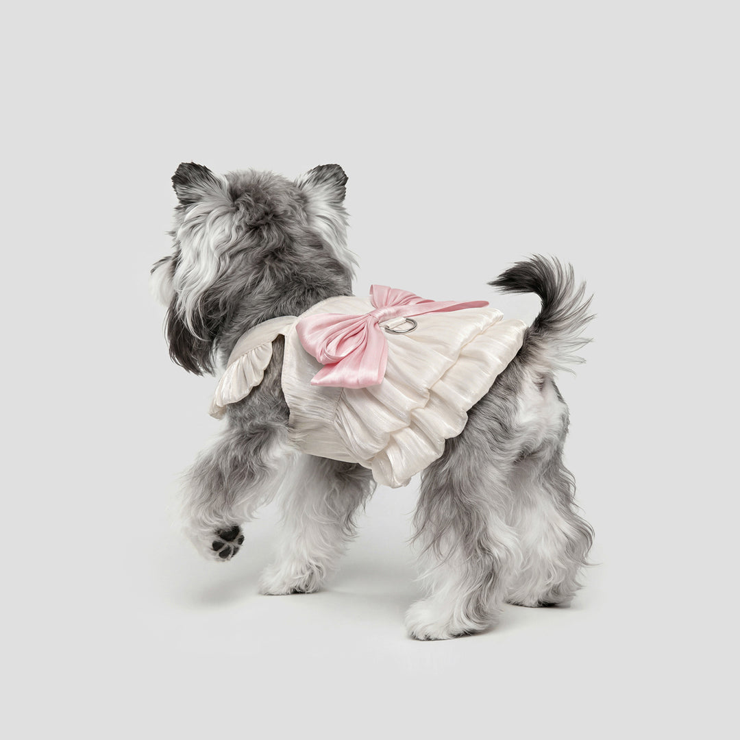 Summer Bow-Tie Dog Dress