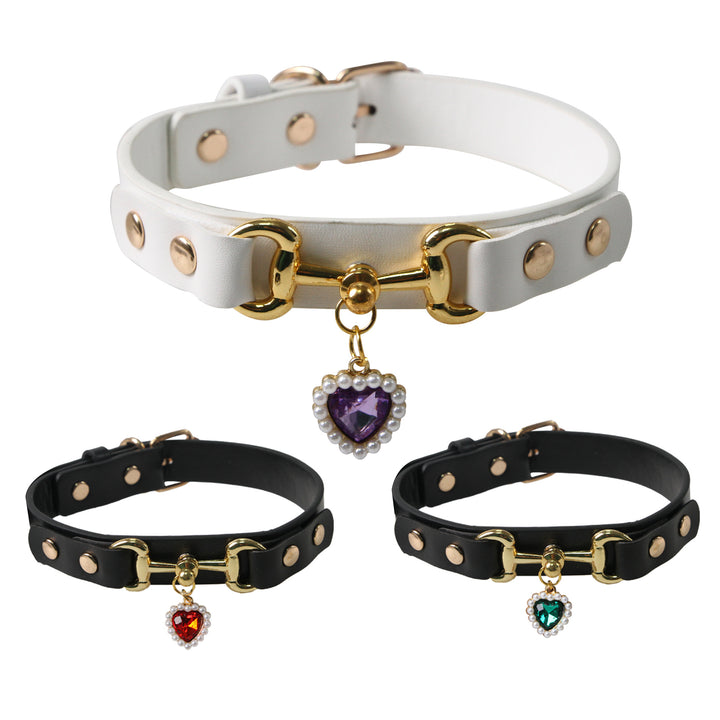 Stylish Pet Collar Accessory