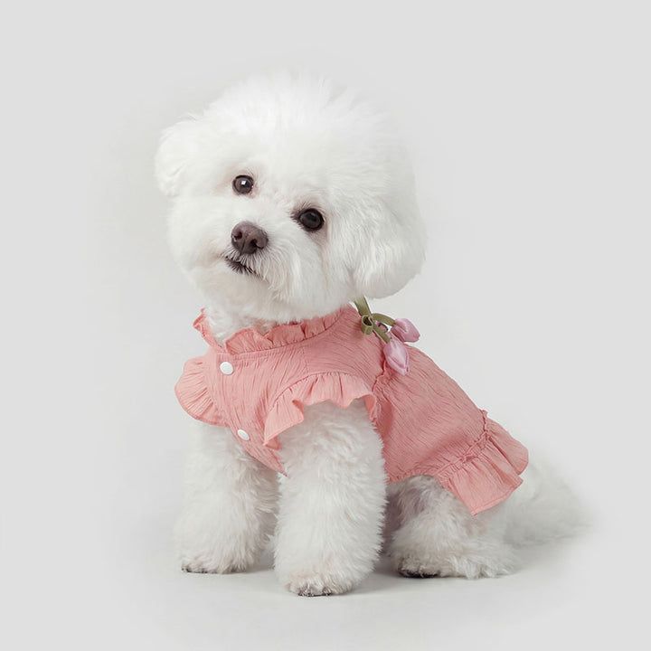Summer Ruffled Princess Dress for Small Dogs