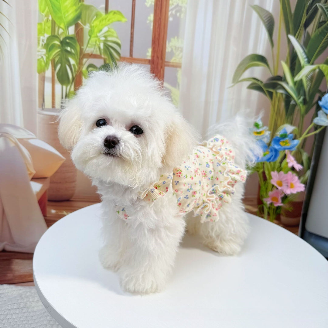 Summer Floral Pet Dress