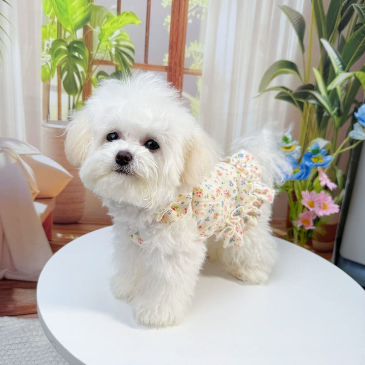 Summer Floral Pet Dress