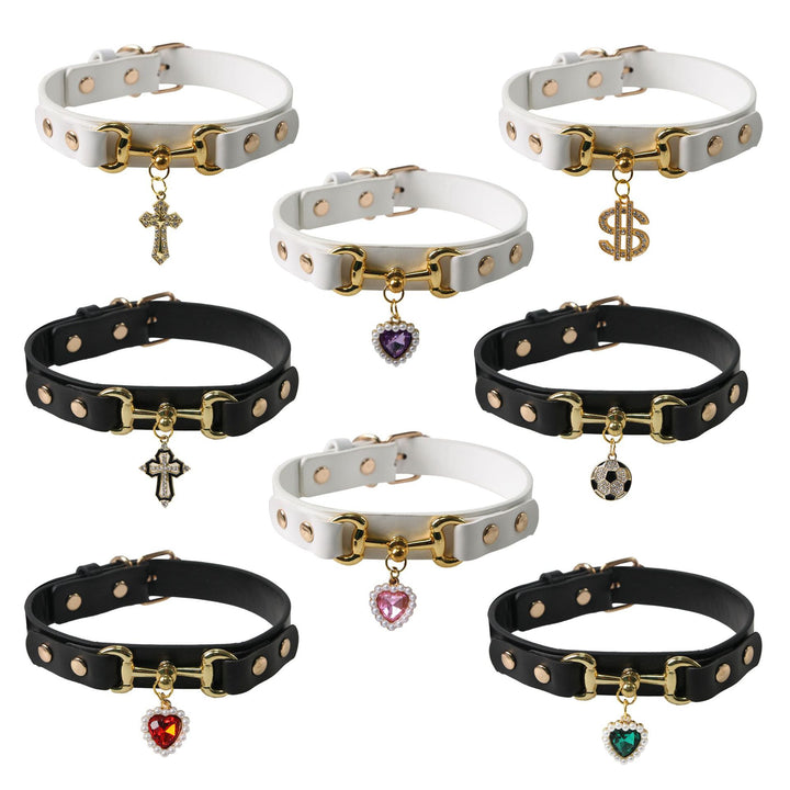 Stylish Pet Collar Accessory