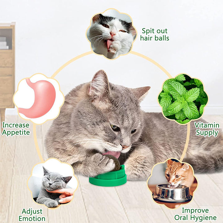 Catnip Wall-Mounted Ball Toy with Cover