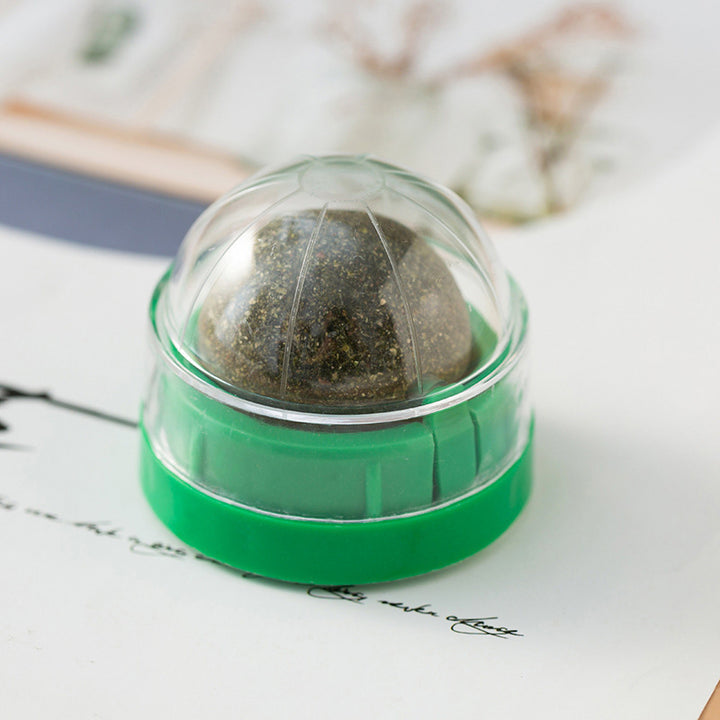 Catnip Wall-Mounted Ball Toy with Cover