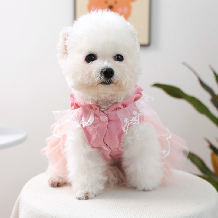 Lace Bow Layered Tulle Pet Dress