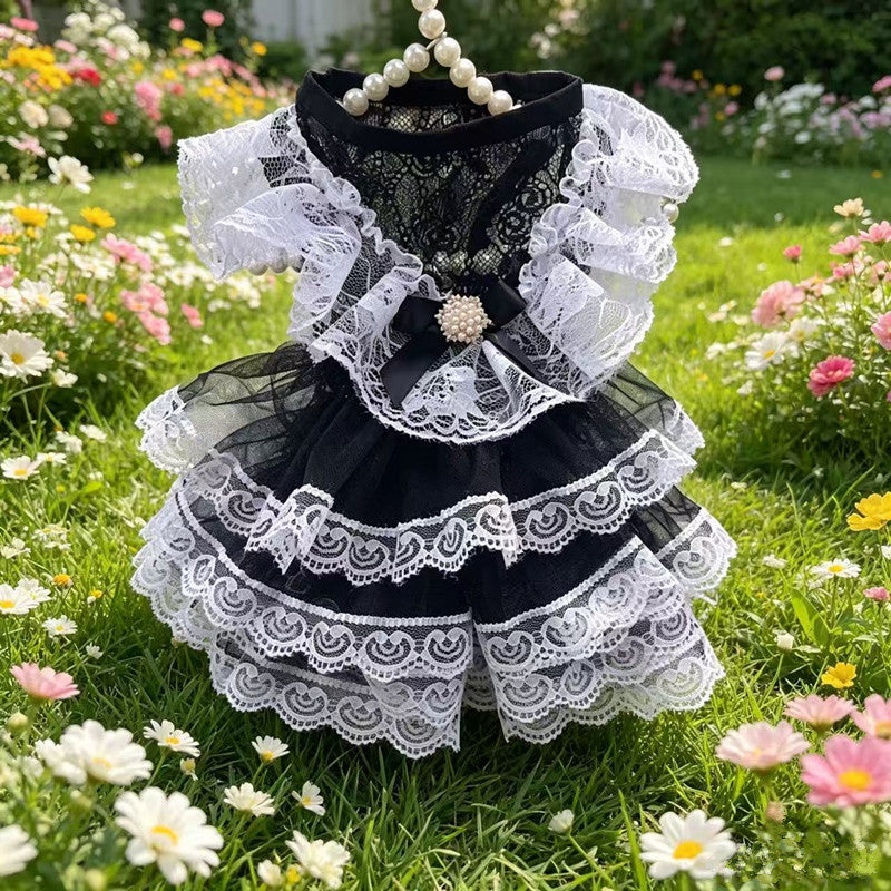 Black and White Lace Lolita-Style Pet Dress