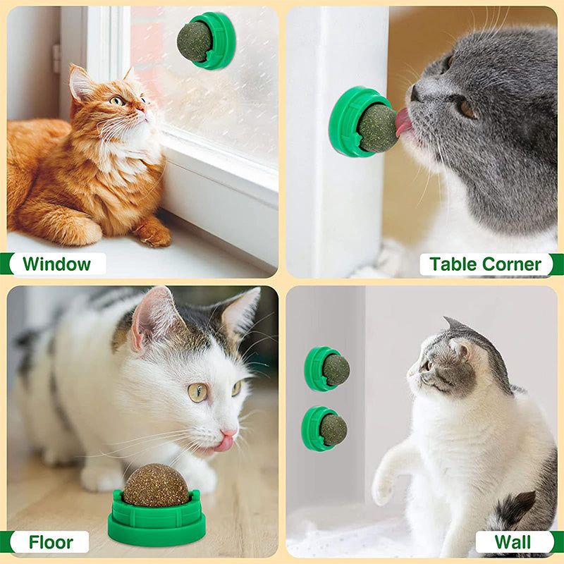Catnip Wall-Mounted Ball Toy with Cover