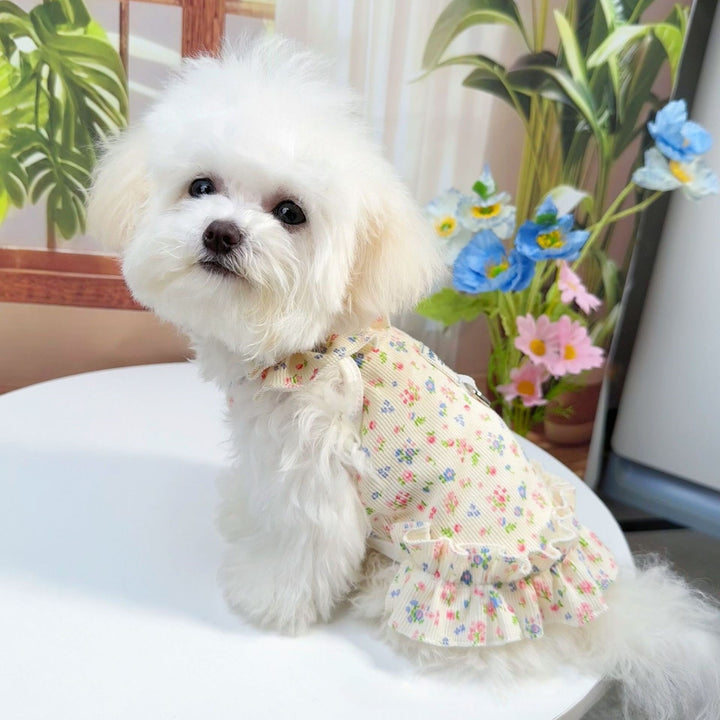 Summer Floral Pet Dress