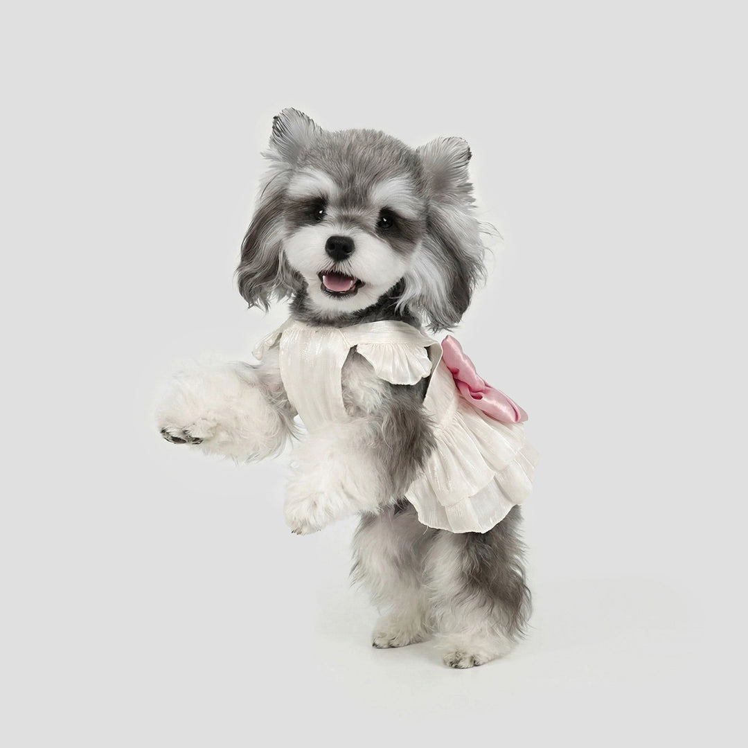 Summer Bow-Tie Dog Dress