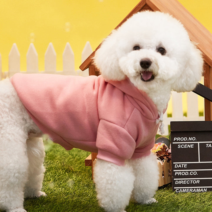 Fleece-lined dog hoodie