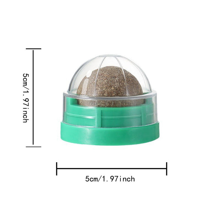 Catnip Wall-Mounted Ball Toy with Cover