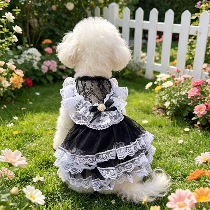 Black and White Lace Lolita-Style Pet Dress
