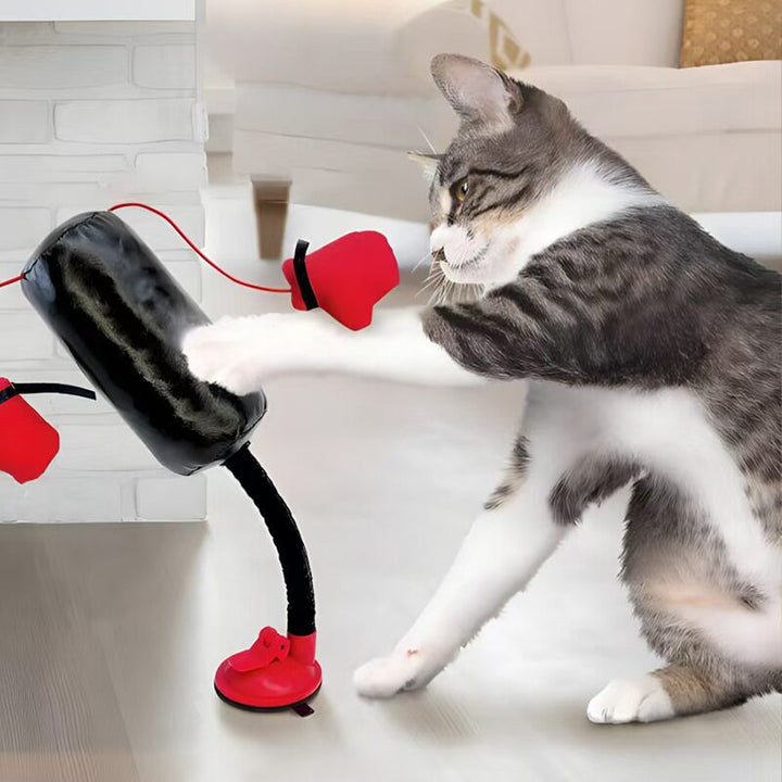 Self-Play Cat Sandbag Toy