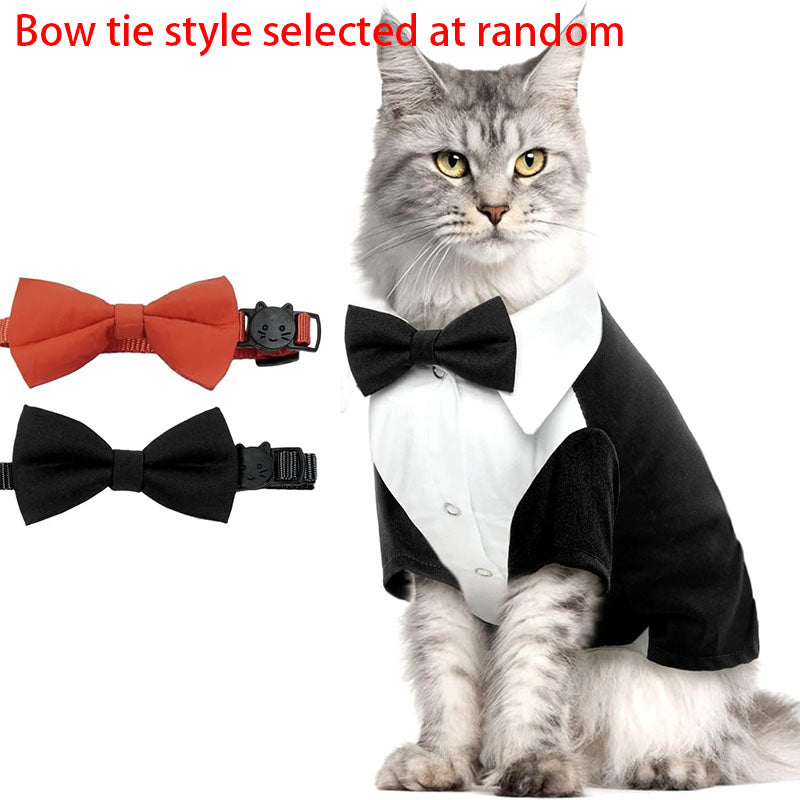 Cat Tuxedo Outfit