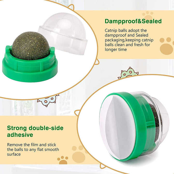 Catnip Wall-Mounted Ball Toy with Cover