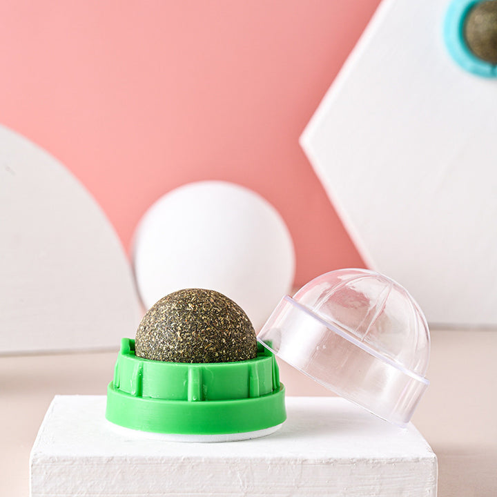 Catnip Wall-Mounted Ball Toy with Cover