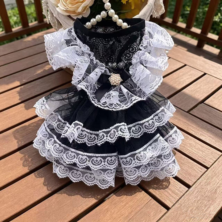 Black and White Lace Lolita-Style Pet Dress