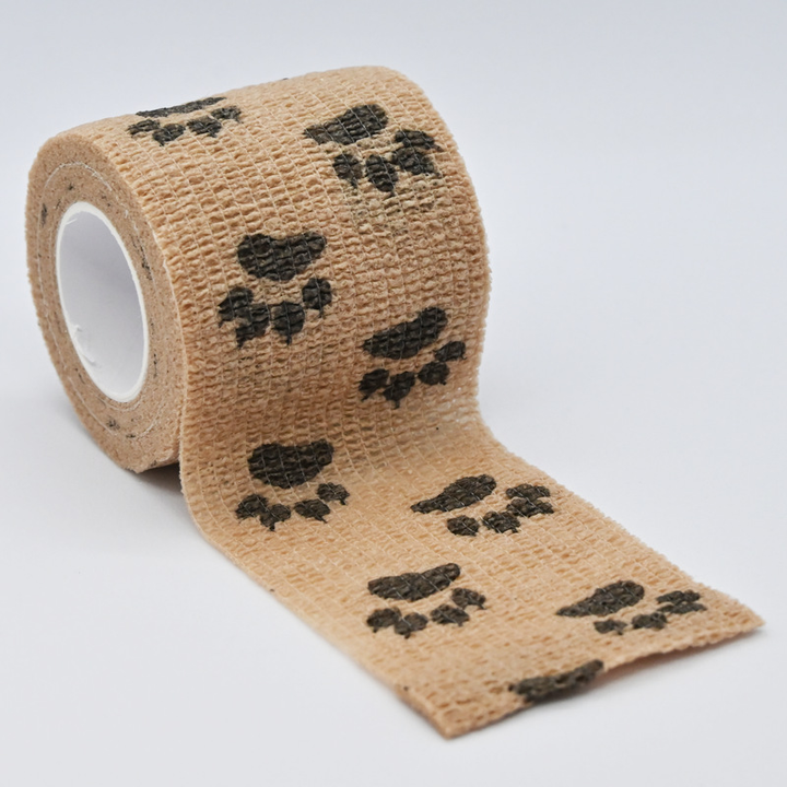Bandage Shoe