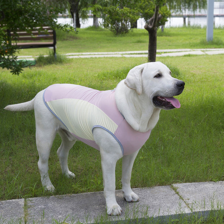 Ice-Cool Breathable Dog Vest