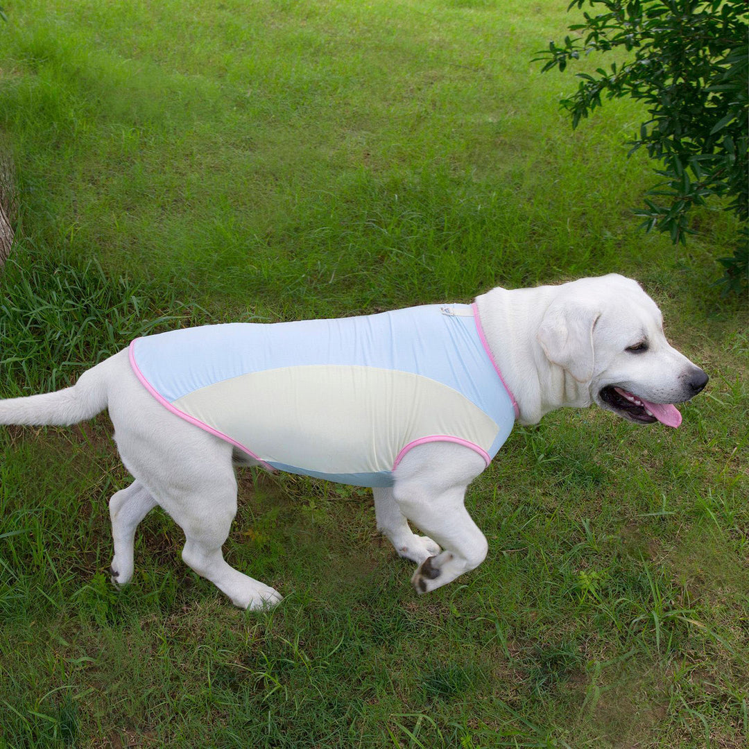 Ice-Cool Breathable Dog Vest
