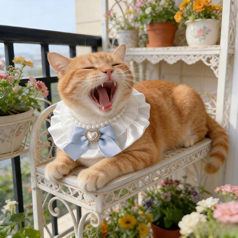 Cute Cream-Colored Bow Pet Collar