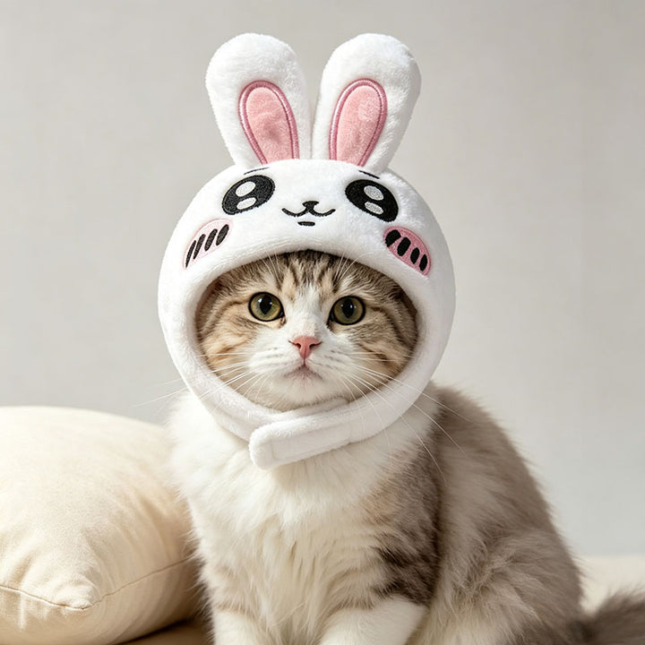 Cute rabbit pet hat
