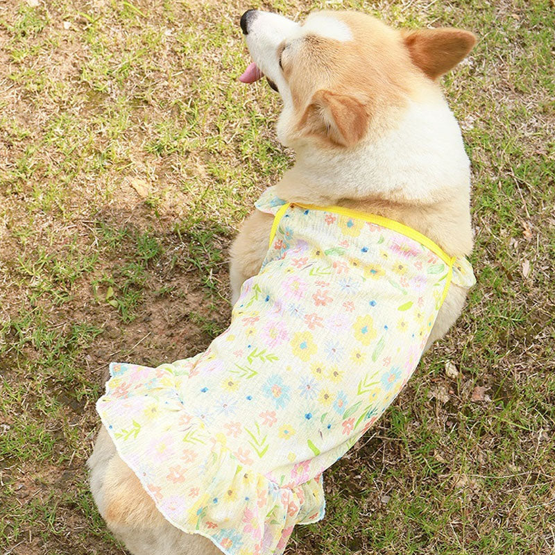 Cooling Dog Dress Vest