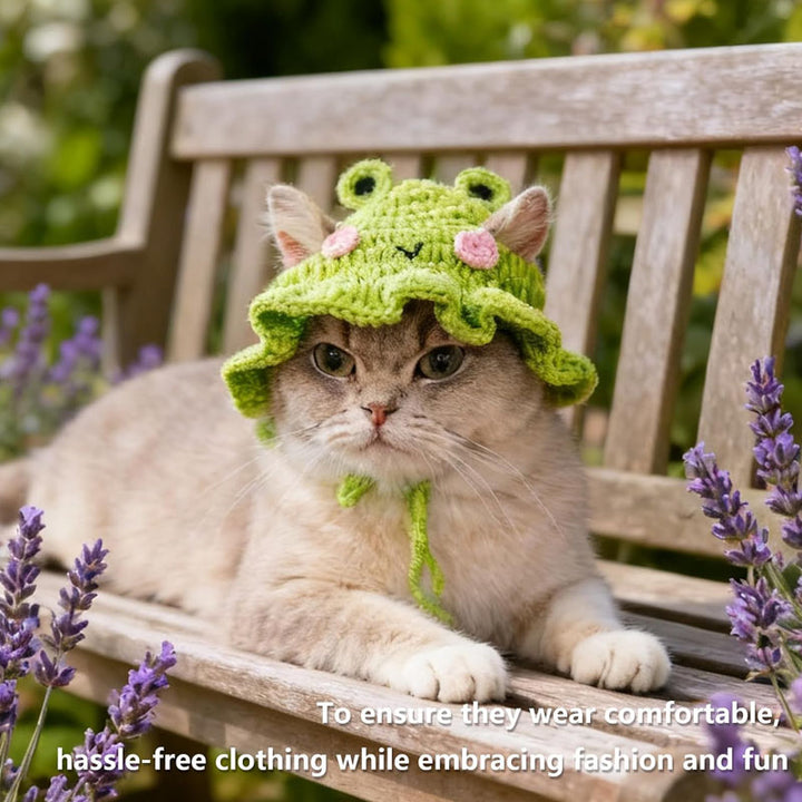 Knitted frog hat for cats