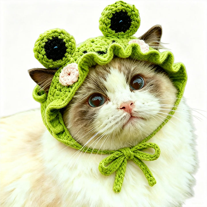 Knitted frog hat for cats