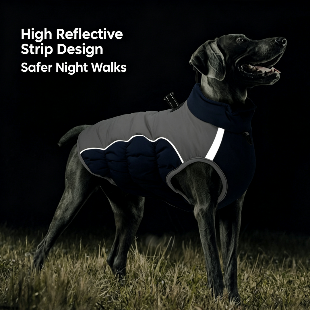 Reflective Windproof Dog Puffer Coat