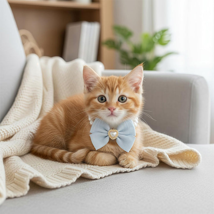Pet pearl necklace collar