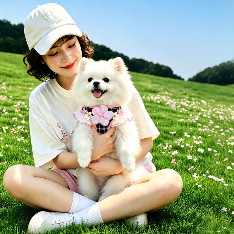 Anti-Escape Pet Harness and Leash Set