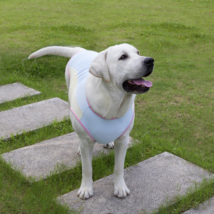 Ice-Cool Breathable Dog Vest
