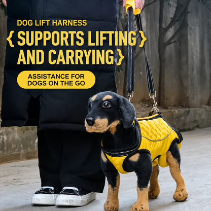 Dog assistance harness