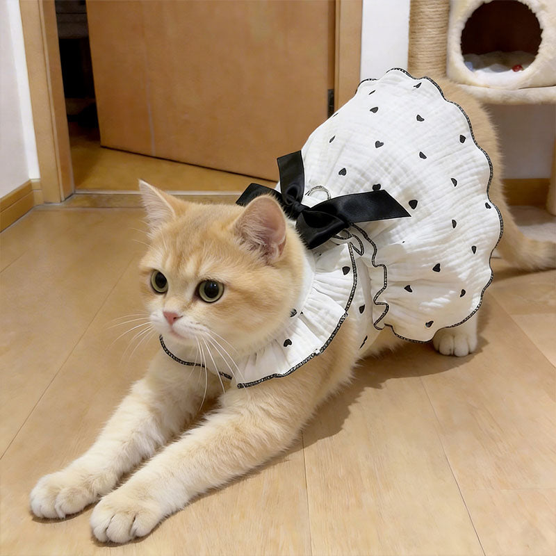Bow Tie Pet Dress