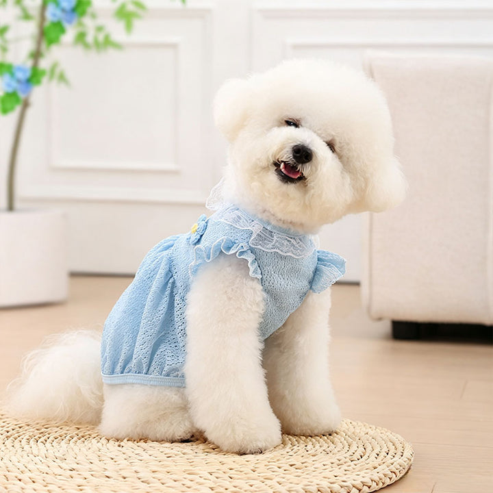 Summer Princess Dog Dress