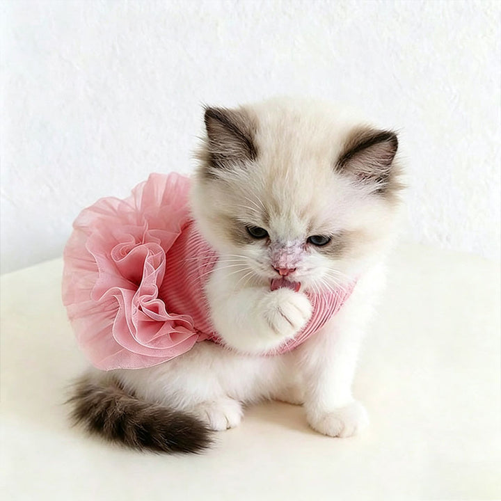 Fluffy Tulle Pet Dress