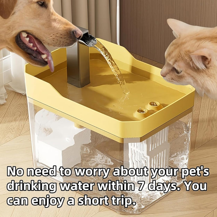 Automatic pet water fountain
