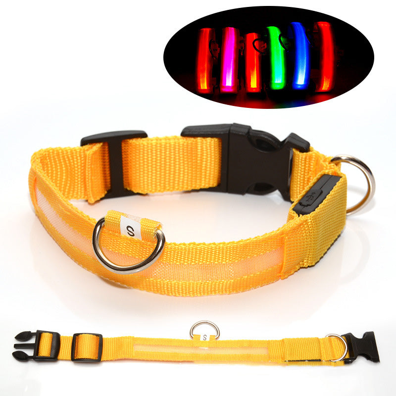 Pet LED Light-Up Collar
