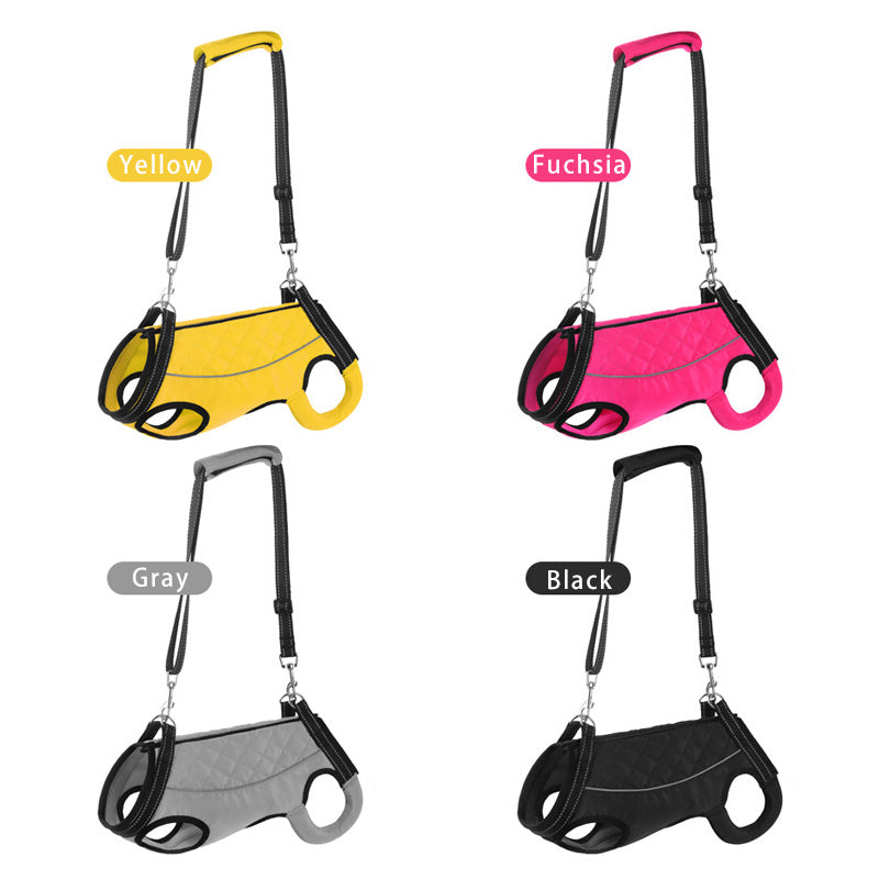 Multifunctional dog support suit