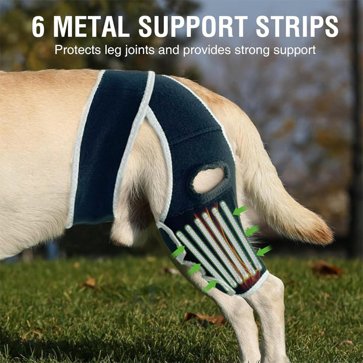 Adjustable universal knee brace for pets