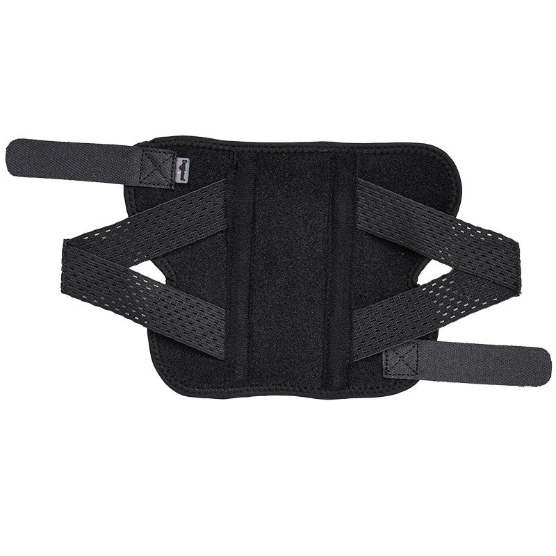 hind leg support for pet dogs