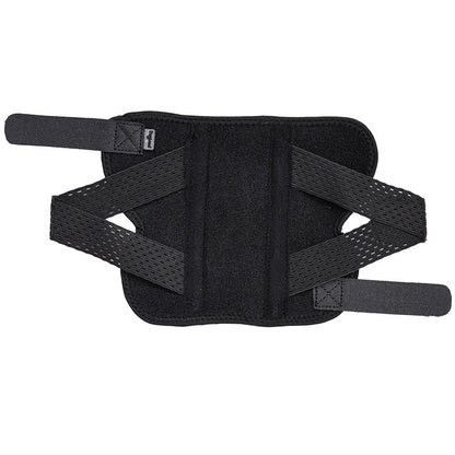 hind leg support for pet dogs